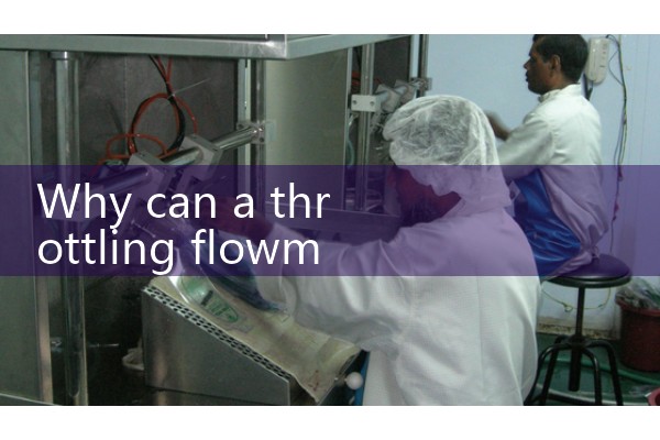 Intercepting flow meter